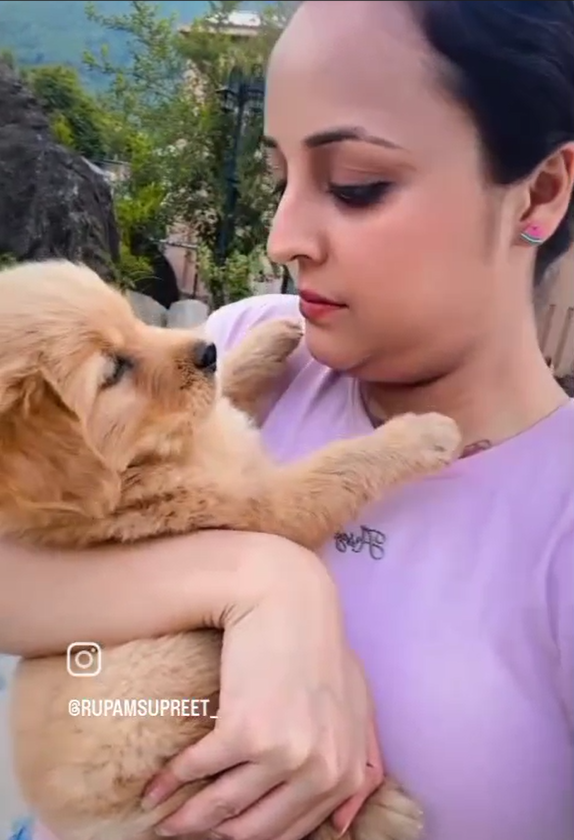 Best Pet Friendly Resort in Dharamshala for a Comfortable Vacation