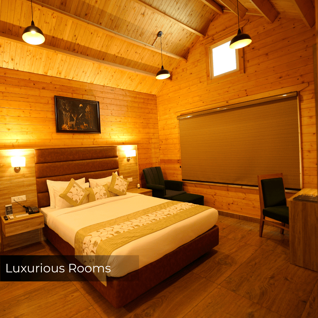 Looking for the Perfect Place to Stay Near Dharamshala? Here’s What You Should Know