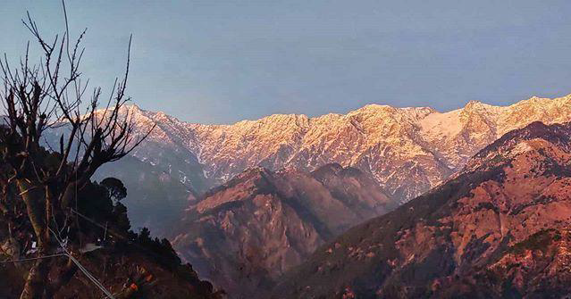 Dharamshala Tourist Places: Explore Nature, Culture & Calm with Antaraal Resort & Spa